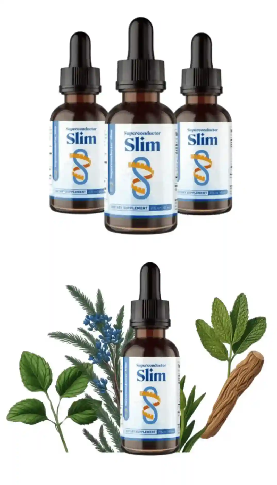 superconductor slim supplement